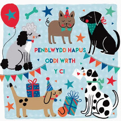 Penblwydd Hapus oddi wrth y Ci