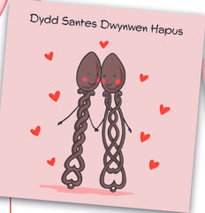 Dydd Santes Dwynwen Hapus