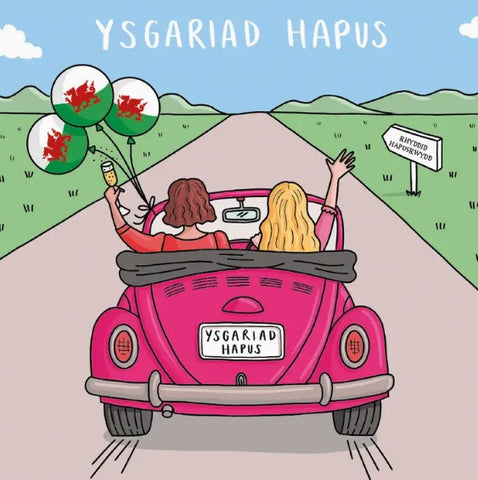 Ysgariad Hapus