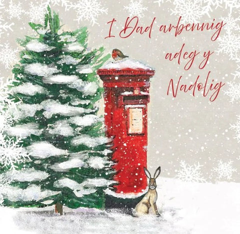 I Dad arbennig adeg y Nadolig