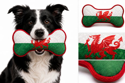 Wales Flag Squeaky Dog Toy| Tegan Baner Cymru i'r Ci