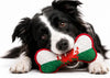 Wales Flag Squeaky Dog Toy| Tegan Baner Cymru i'r Ci