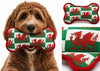Wales Multi-Flag Squeaky Dog Toy| Tegan Baneri Cymru i'r Ci