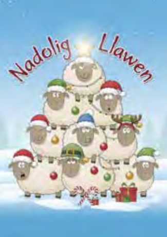Nadolig Llawen (pack)|Nadolig Llawen (pecyn)