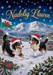Nadolig Llawen (pack)|Nadolig Llawen (pecyn)