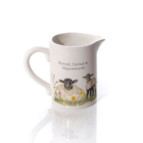 Bywyd, Cariad & Hapusrwydd Jug | Jwg Bywyd, Cariad & Hapusrwydd