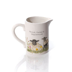 Bywyd, Cariad & Hapusrwydd Jug | Jwg Bywyd, Cariad & Hapusrwydd