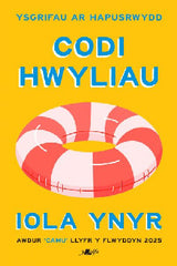 Codi Hwyliau - Ysgrifau ar Hapusrwydd