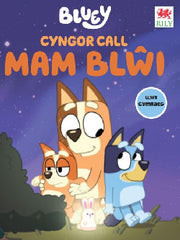 Cyngor Call MAM BLŴI