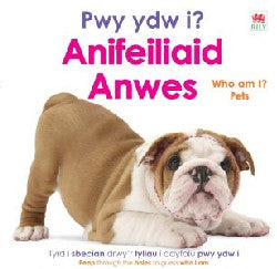 Pwy ydw i? Anifeiliaid Anwes