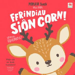 Ffrindiau Siôn Corn