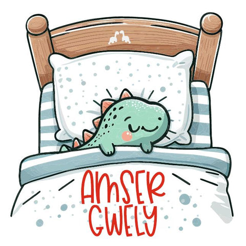 Amser Gwely Sleepsuit|Gwisg Nos Amser Gwely