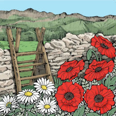 Mountain Stile |Cerdyn Cefn Gwlad