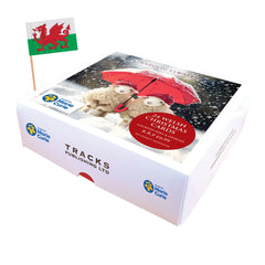 Mixed Box of 24 Welsh Christmas Cards |Bocs o 24 Cerdyn Nadolig Amrywiol
