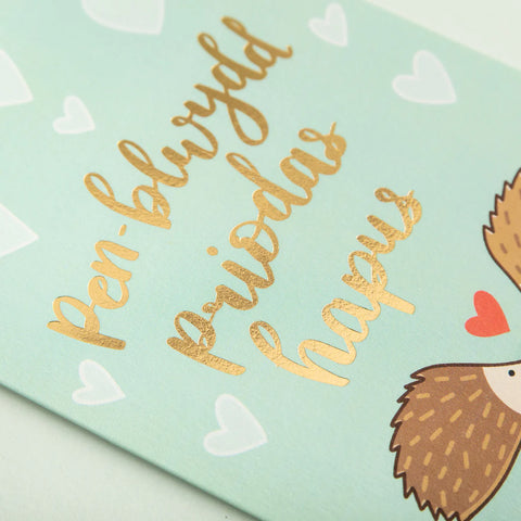 Pen-blwydd Priodas Hapus