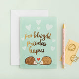 Pen-blwydd Priodas Hapus, HAP5
