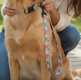 Multi Coloured Welsh Tapestry Design Dog Leads|Tenyn Ci Carthen Gymreig
