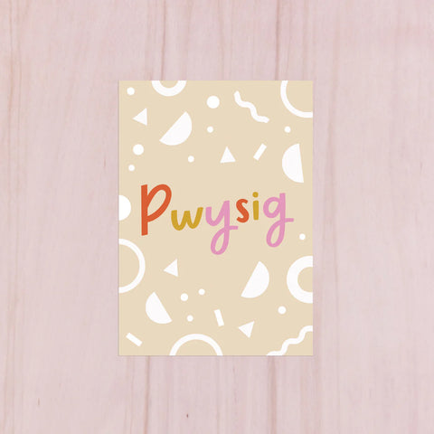 'Pwysig' Notebook|Llyfr Nodiadau 'Pwysig'