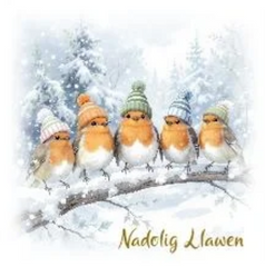 Nadolig Llawen (pack)|Nadolig Llawen (pecyn)