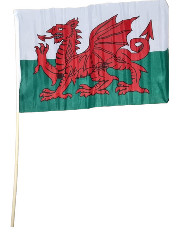 Wales Hand Flag 12" x 8"|Fflag Cymru 12" x 8"