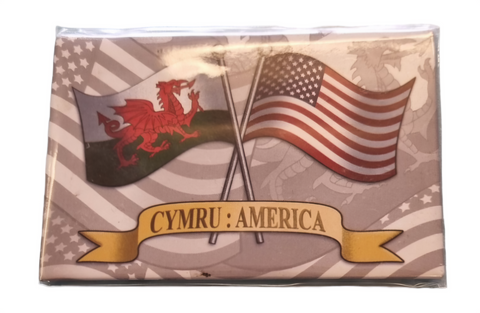 Magned Cymru : America