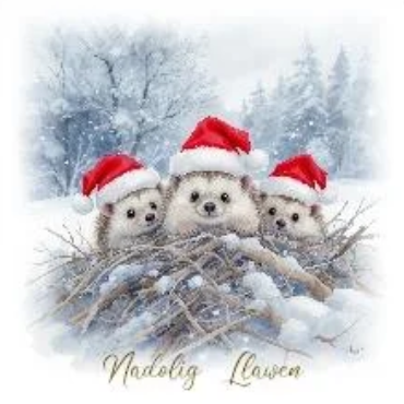 Nadolig Llawen (pack)|Nadolig Llawen (pecyn)