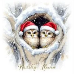 Nadolig Llawen (pack)|Nadolig Llawen (pecyn)