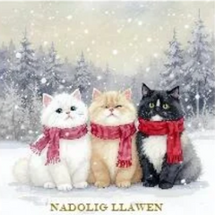 Nadolig Llawen (pack)|Nadolig Llawen (pecyn)