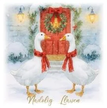 Nadolig Llawen (pack)|Nadolig Llawen (pecyn)