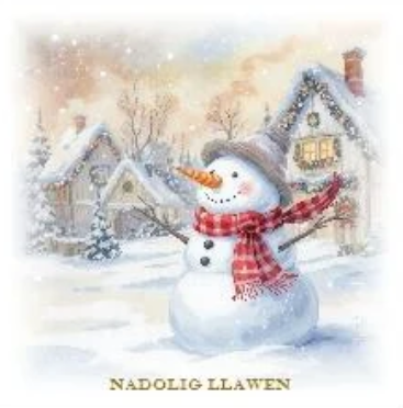 Nadolig Llawen (pack)|Nadolig Llawen (pecyn)