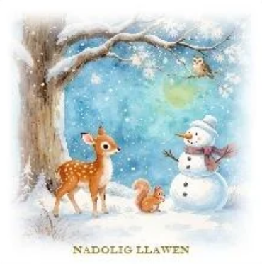 Nadolig Llawen (pack)|Nadolig Llawen (pecyn)
