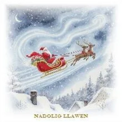 Nadolig Llawen (pack)|Nadolig Llawen (pecyn)