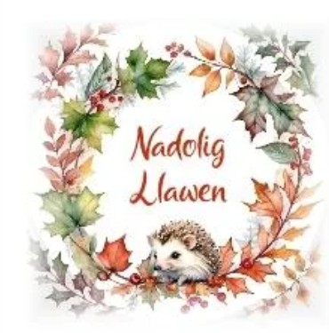 Nadolig Llawen (pack)|Nadolig Llawen (pecyn)