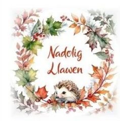 Nadolig Llawen (pack)|Nadolig Llawen (pecyn)