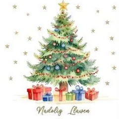 Nadolig Llawen (pack)|Nadolig Llawen (pecyn)