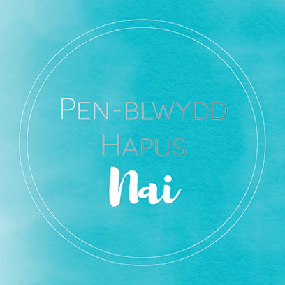 Pen-blwydd Hapus Nai