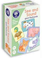 See and Sound Giant Flashcards|Cardiau Fflach