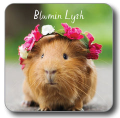 Blwmin Lysh (Coaster)|Blwmin Lysh (Mat Diod)