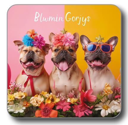 Blwmin Gorjys (Coaster)|Blwmin Gorjys (Mat Diod)