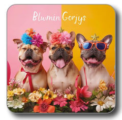 Blwmin Gorjys (Coaster)|Blwmin Gorjys (Mat Diod)