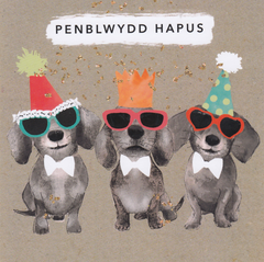 Penblwydd Hapus