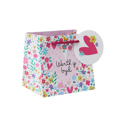 Werth y Byd Small Gift Bag | Bag Anrheg Werth y Byd