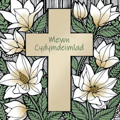 Mewn Cydymdeimlad