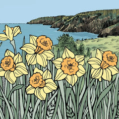 Pembrokeshire Daffodils |Cennin Pedr Sir Benfro