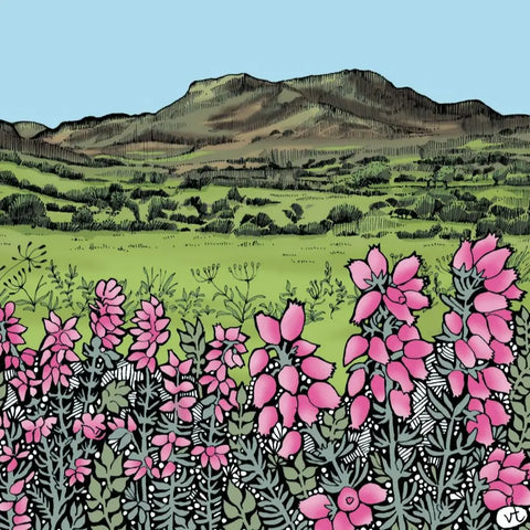 Cadair Idris