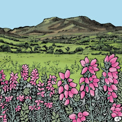 Cadair Idris