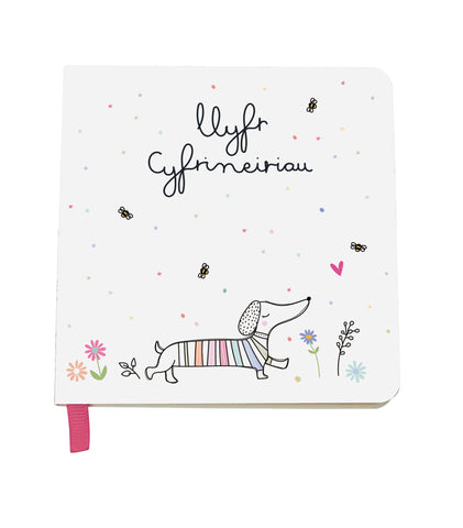 Llyfr Cyfrineiriau