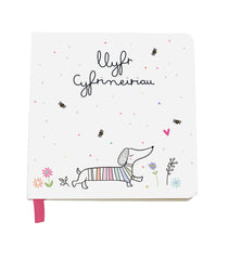 Llyfr Cyfrineiriau