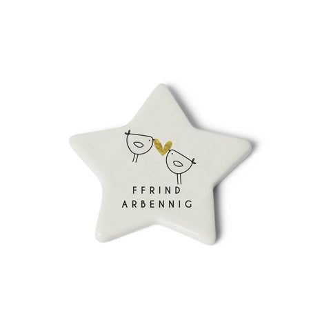 Ffrind Arbennig Star Token|Ffrind Arbennig