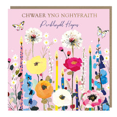 Chwaer-yng-Nghyfraith, Penblwydd Hapus